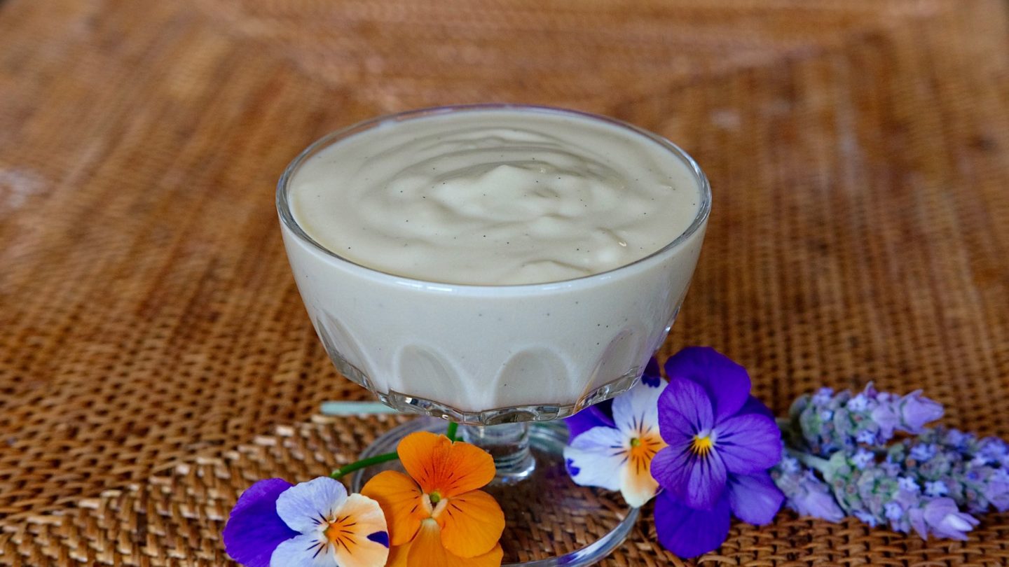 Dairy Free Vanilla Pudding made from Plant Based Milk - Mia's Cucina